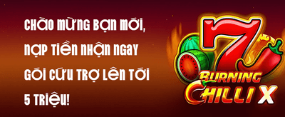 Hoàn Trả VIP Hàng Tuần Không Giới Hạn promotion